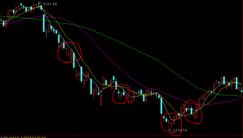 助侨生书写青年华章!市侨联“侨心工程”助学金颁发仪式举行