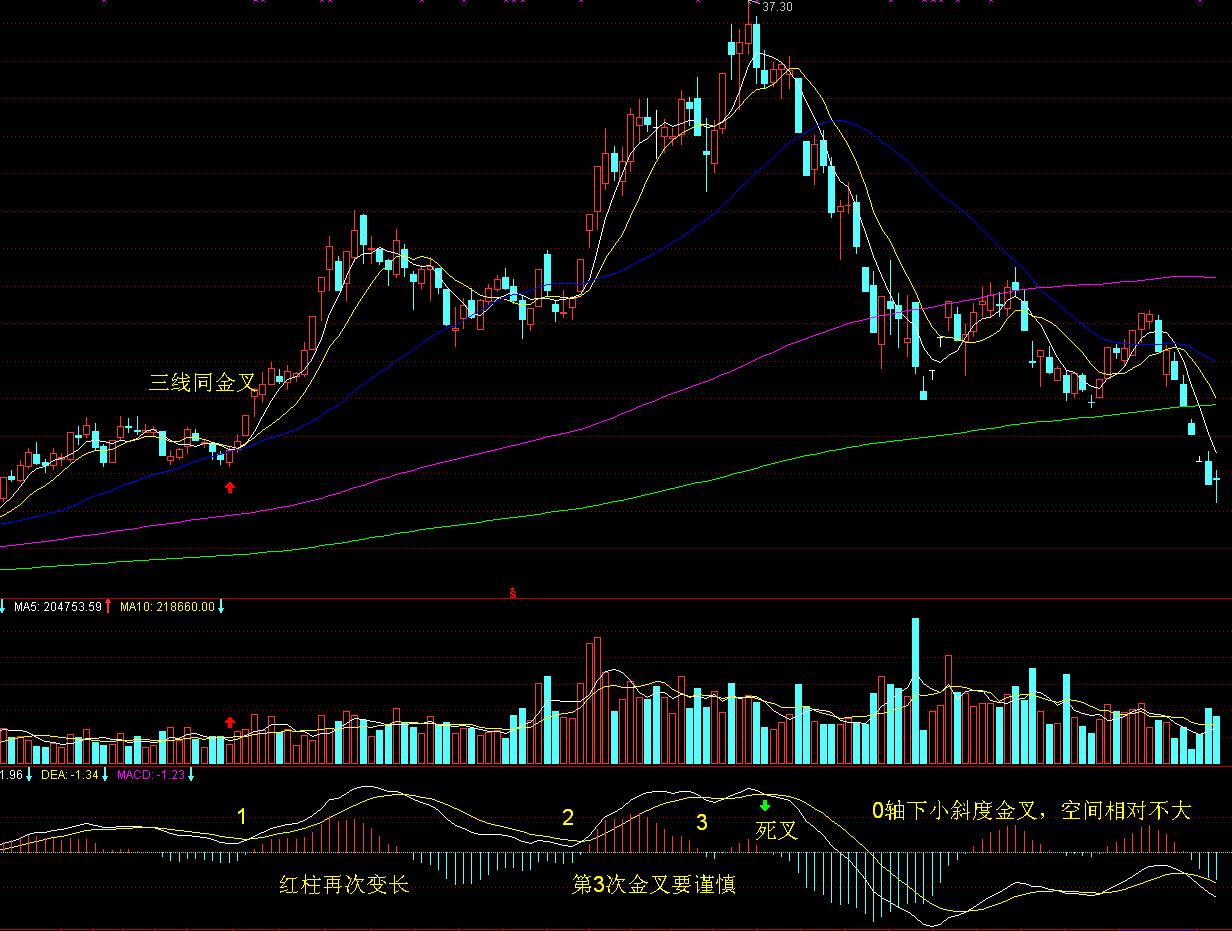 助侨生书写青年华章!市侨联“侨心工程”助学金颁发仪式举行